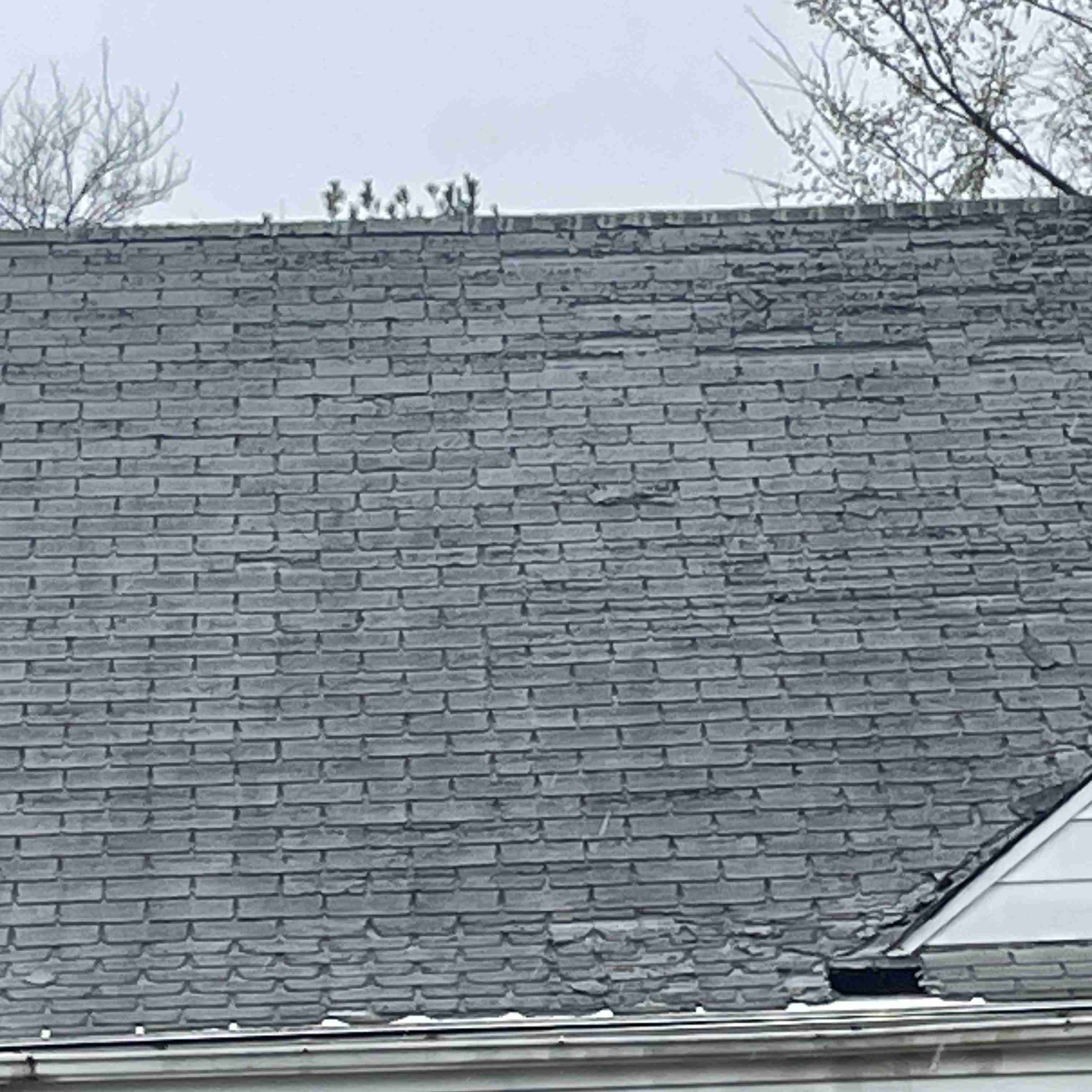 16285 Tacoma (4).jpg